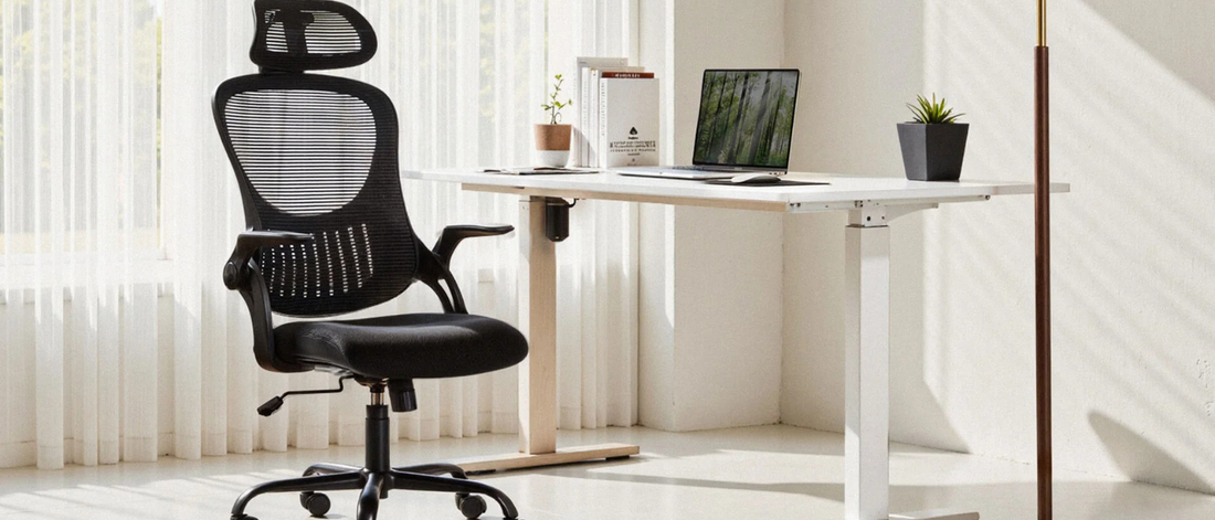 ergonomic office chairs