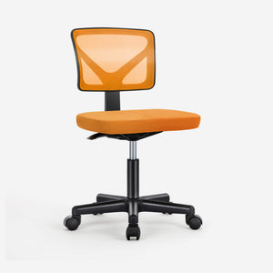 Sweetcrispy Desk Chair with Lumbar Support for Office