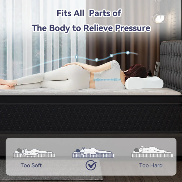 edx Mattress in a Box, Memory Foam Hybrid with Pocketed Springs and Pressure Relief