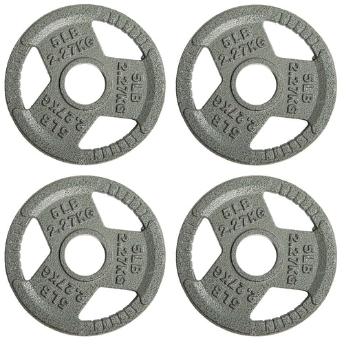 EDX 2-Inch Olympic Cast Iron Weight Plate ¨C Rust-Resistant, Grip-Friendly Design for Powerlifting, CrossFit, and Home Gym Training