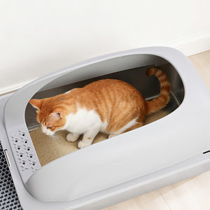 Sweetcrispy Stainless Steel Cat Litter Box with Scoop & Double-Layer Mat