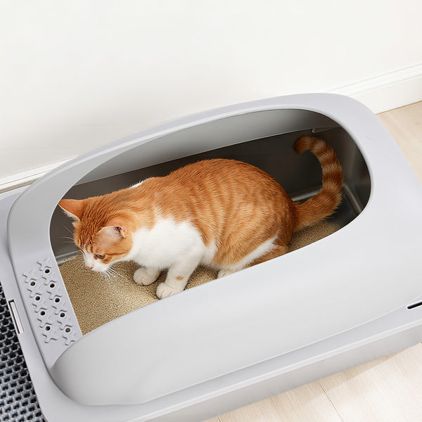 Sweetcrispy Stainless Steel Cat Litter Box with Scoop & Double-Layer Mat