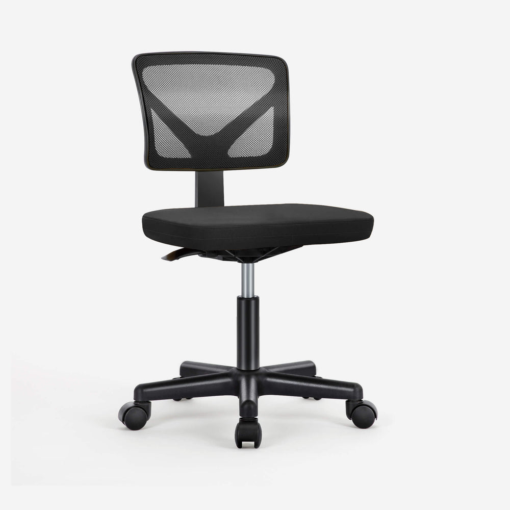 🎁 Sweetcrispy Desk Chair with Lumbar Support for Office (100% off)