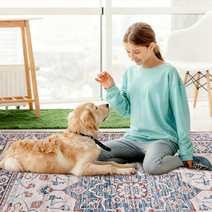 Sweetcrispy Washable Low-Pile Polyester Area Rug