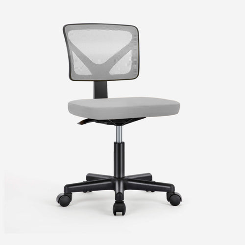 Sweetcrispy Desk Chair with Lumbar Support for Office