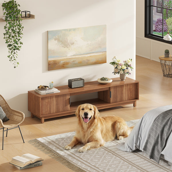 Sweetcrispy Boho TV Stand with Storage, Entertainment Center for TVs up to 65”