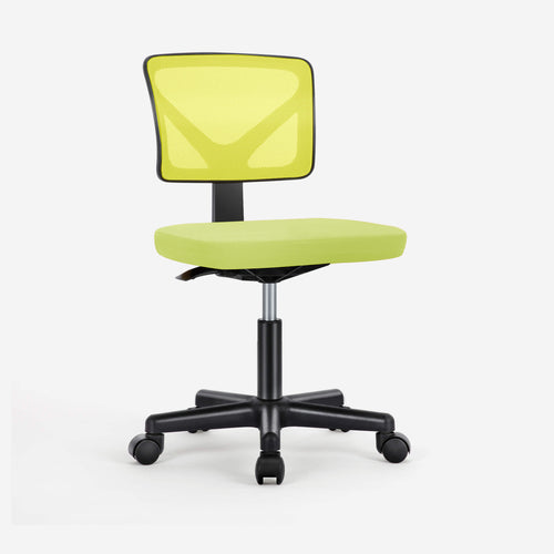 Sweetcrispy Desk Chair with Lumbar Support for Office