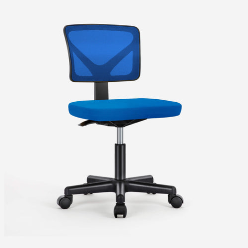 🎁 Sweetcrispy Desk Chair with Lumbar Support for Office (100% off)