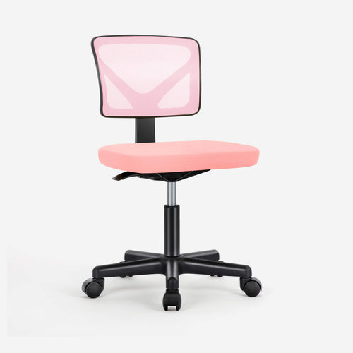 Sweetcrispy Desk Chair with Lumbar Support for Office